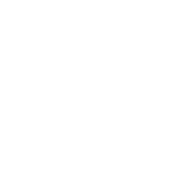 HirscherLogo_NEU_negativ